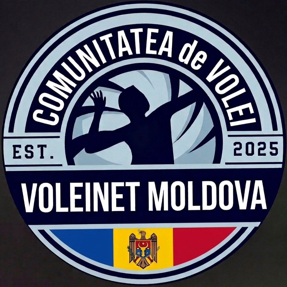VoleiNet